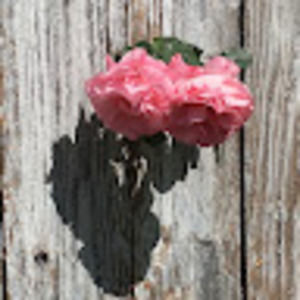 Meet your Posher, Emelda